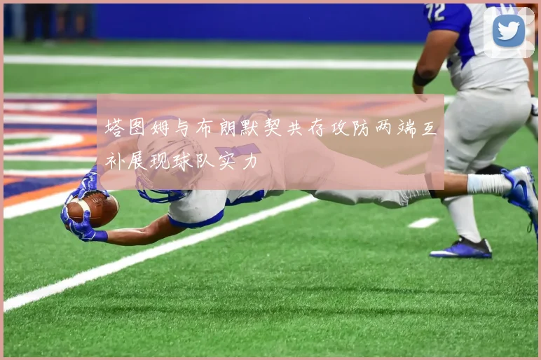 塔图姆与布朗默契共存攻防两端互补展现球队实力